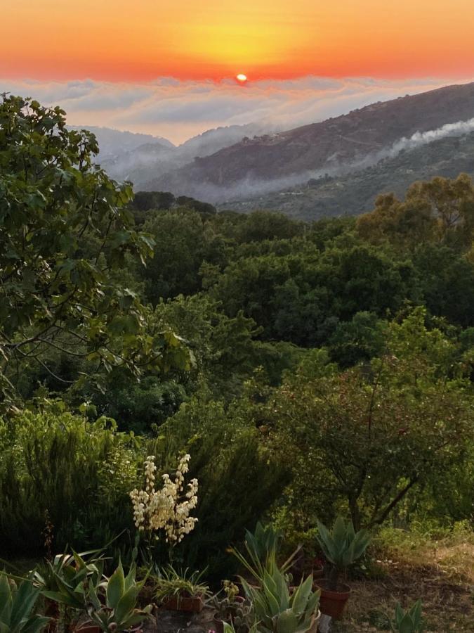 Cefalu Forest Hideout ภายนอก รูปภาพ