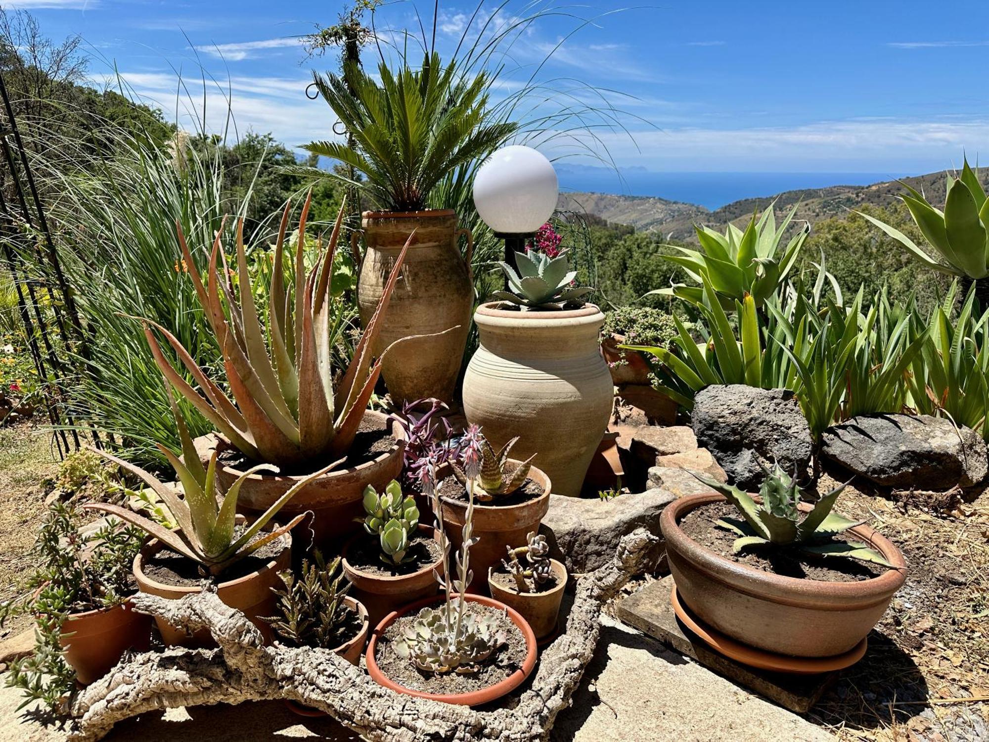 Cefalu Forest Hideout ภายนอก รูปภาพ